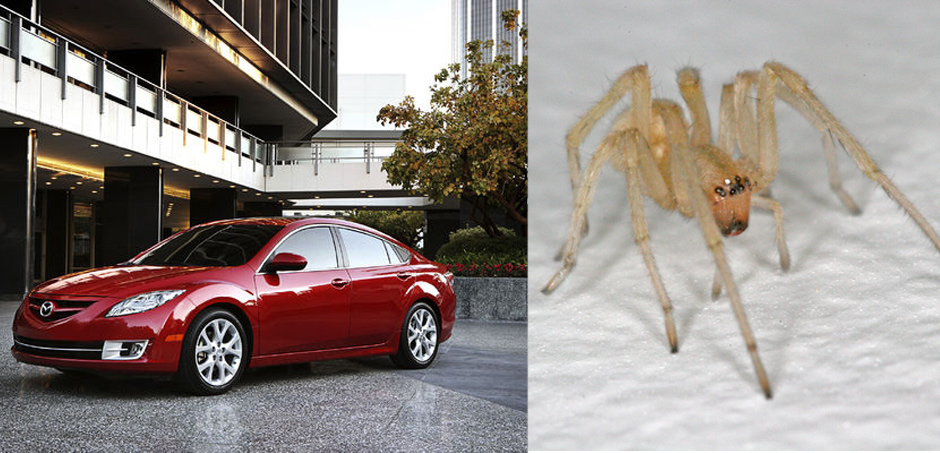 Mazda spiders